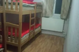 ქირავდება სახლი დღიურად, 16 ოთახიანი, ბორჯომი, ბაკურიანი