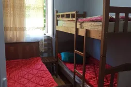 ქირავდება სახლი დღიურად, 16 ოთახიანი, ბორჯომი, ბაკურიანი
