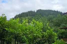 Apartment for sale, 5 Room, Old building, Borjomi , Kvibisi