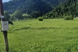 იყიდება მიწის ნაკვეთი, სასოფლო - სამეურნეო, სადგერი