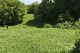 Land For Sale, Agricultural, Kiketi