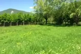 Land For Sale, Agricultural, Aragvispiri