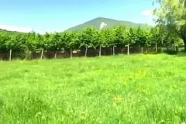 Land For Sale, Agricultural, Aragvispiri