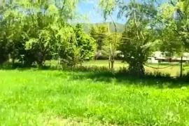 Land For Sale, Agricultural, Aragvispiri