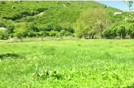 Land For Sale, Agricultural, Aragvispiri