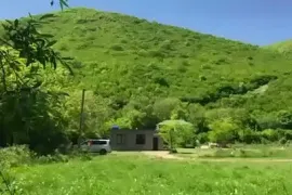 Land For Sale, Agricultural, Aragvispiri