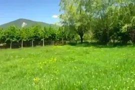 Land For Sale, Agricultural, Aragvispiri