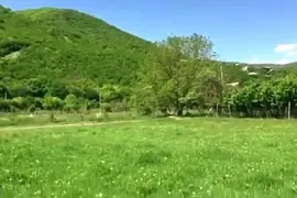 Land For Sale, Agricultural, Aragvispiri