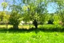 Land For Sale, Agricultural, Aragvispiri