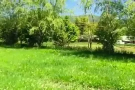 Land For Sale, Agricultural, Aragvispiri