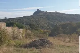 იყიდება მიწის ნაკვეთი, არა სასოფლო - სამეურნეო, კოჯორი