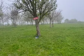 Land For Sale, Agricultural, Norio 