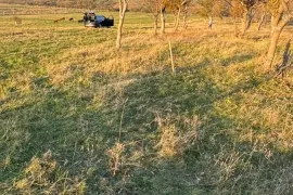 Land For Sale, Agricultural, Norio 