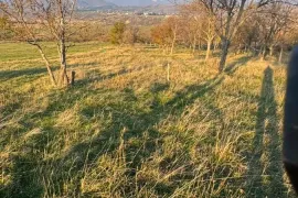 Land For Sale, Agricultural, Norio 