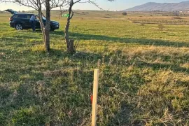 Land For Sale, Agricultural, Norio 