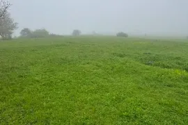 Land For Sale, Agricultural, Norio 