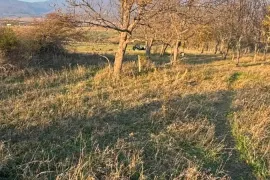 Land For Sale, Agricultural, Norio 