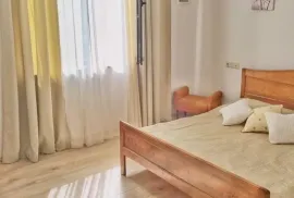 House For Rent, 8 Room, Suburbs of Tbilisi, Tskneti