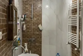 House For Rent, 8 Room, Suburbs of Tbilisi, Tskneti