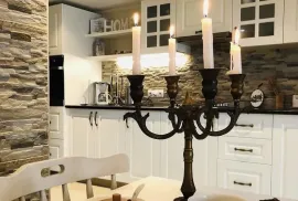 House For Rent, 8 Room, Suburbs of Tbilisi, Tskneti