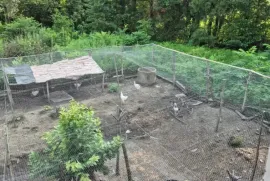 House For Sale, 10 Room, Lanchkhuti, Supsa 