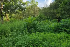 House For Sale, 10 Room, Lanchkhuti, Supsa 