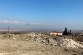 Land For Sale, Agricultural, Tsnori