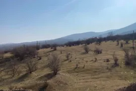 Продается Земля, Сельскохозяйственные, Tsnori