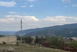 Land For Sale, Agricultural, Napetvrebi