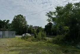 Land For Sale, Agricultural, Chaqvi