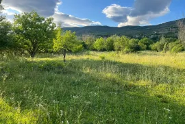 Продается Земля, Misaqtsieli