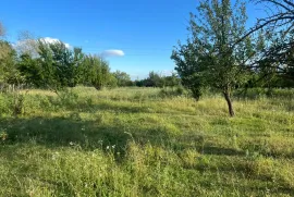 Продается Земля, Misaqtsieli