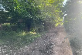 Land For Sale, Misaqtsieli