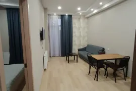 Apartment for sale, 2 Room, New building, Tbilisi, Didi digomi