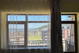 ქირავდება ბინა, 1 ოთახიანი, ახალი აშენებული, ბორჯომი, ბაკურიანი