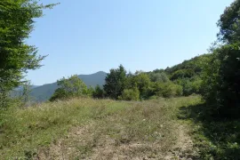 იყიდება მიწის ნაკვეთი, სასოფლო - სამეურნეო, საგარეჯო