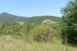 იყიდება მიწის ნაკვეთი, სასოფლო - სამეურნეო, საგარეჯო