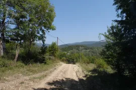 იყიდება მიწის ნაკვეთი, სასოფლო - სამეურნეო, საგარეჯო