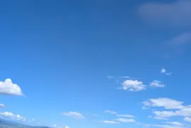 იყიდება მიწის ნაკვეთი, სასოფლო - სამეურნეო, თელოვანი