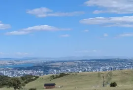 იყიდება მიწის ნაკვეთი, სასოფლო - სამეურნეო, თელოვანი