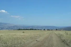 იყიდება მიწის ნაკვეთი, სასოფლო - სამეურნეო, თელოვანი