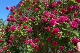 House For Sale, 6 Room, Suburbs of Tbilisi, Tabakhmela