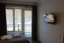 Аренда Посуточно, 3 Kомнатная, Боржомский район, Бакуриани