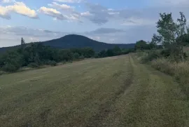 Land For Sale, Agricultural, Khopisi