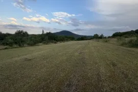 Land For Sale, Agricultural, Khopisi