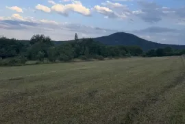 Land For Sale, Agricultural, Khopisi