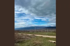 Продается Земля, Навдараанткари