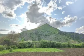 იყიდება მიწის ნაკვეთი, სასოფლო - სამეურნეო, აბასთუმანი 