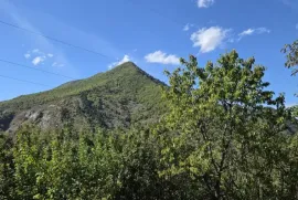 იყიდება მიწის ნაკვეთი, სასოფლო - სამეურნეო, აბასთუმანი 