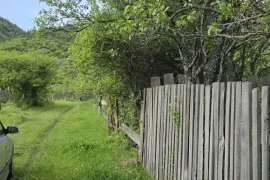 იყიდება მიწის ნაკვეთი, სასოფლო - სამეურნეო, აბასთუმანი 